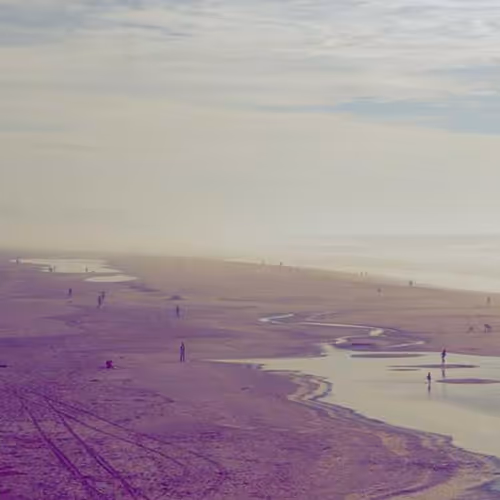 Sexually Syndication