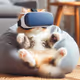 vr cat