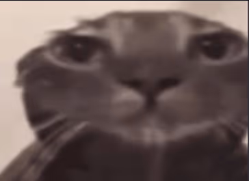 Cat literally staring at you