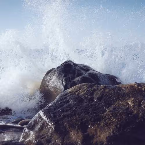 Separate Investigators