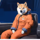 SHIBANAUT