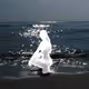 Zora Posts