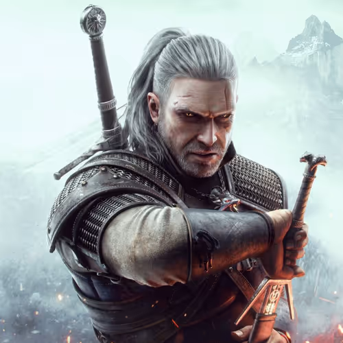 The Witcher