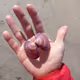 Zoragram
