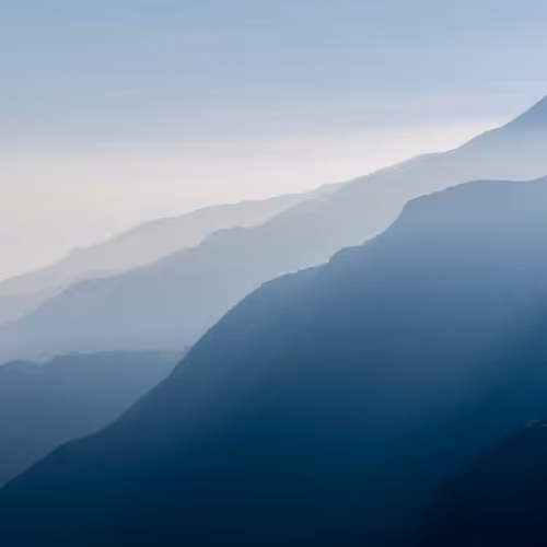 Newsletter Acknowledged Ct