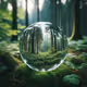 transparent zorb