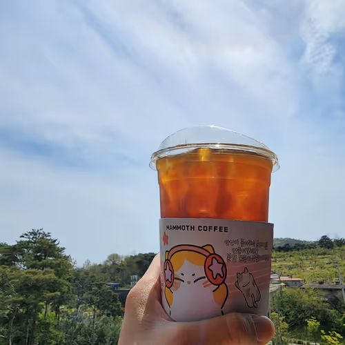 Ice Americano