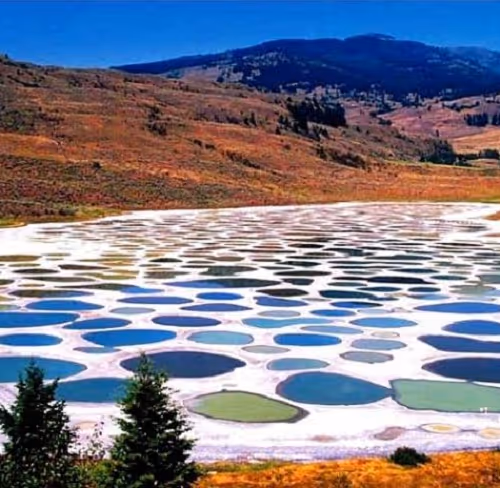 spotted lake