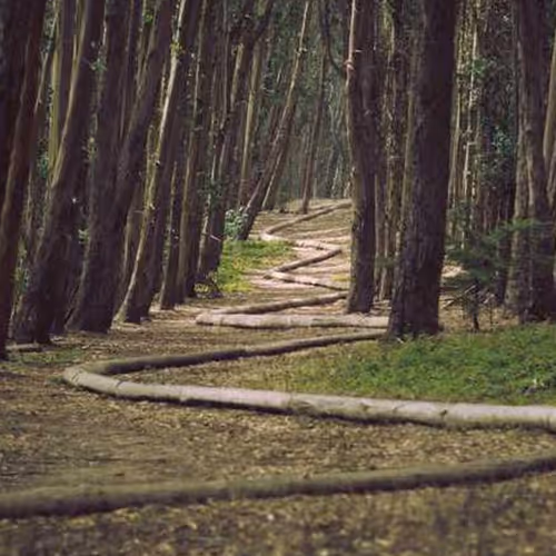 Chains Heather Vernon