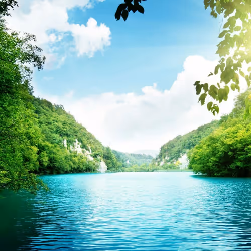 Virtual Vistas: Immersive Escapes
