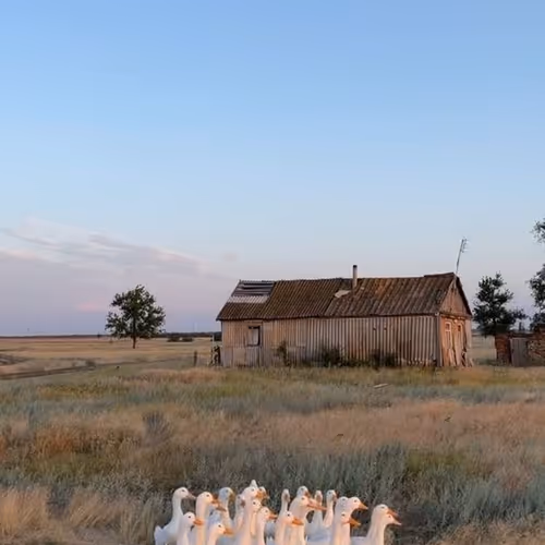 village life