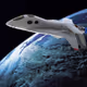 Spaceship