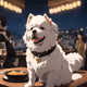 DOGI