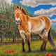 Przewalski's horse