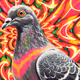 pastel de pombo