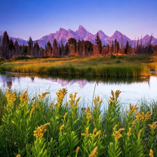picturesque nature