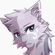 Kotiki