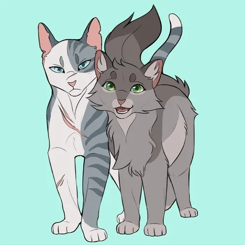 Kotiki