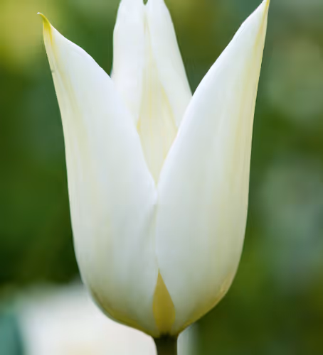 F06