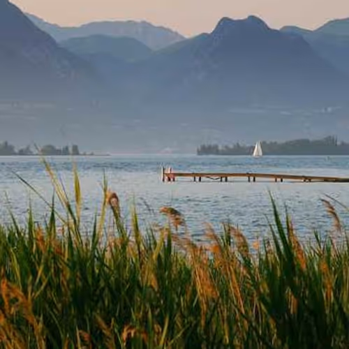 Parks Infected Fonts