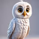 baby owl with cute eyes