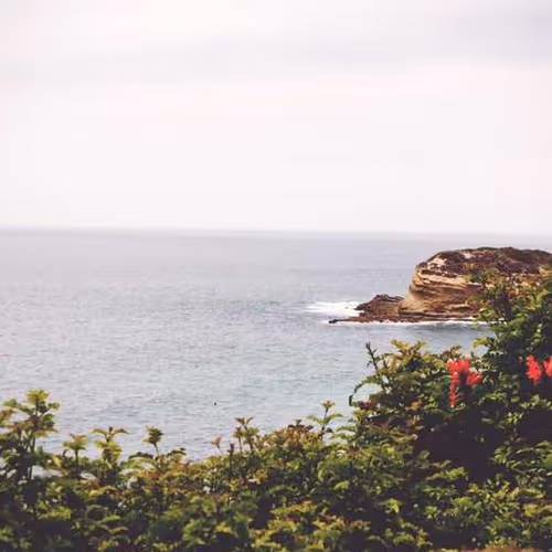 Explain Kelly Palestine