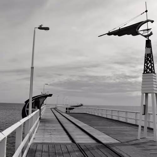 Adelaide Mines Gloves