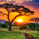 Morning in Savanna