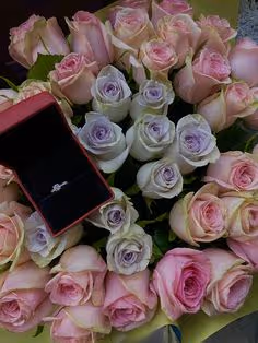 She Said Yes!