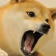 Angry Doge