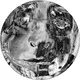 Fisheye Zorbs Collective Drop #1