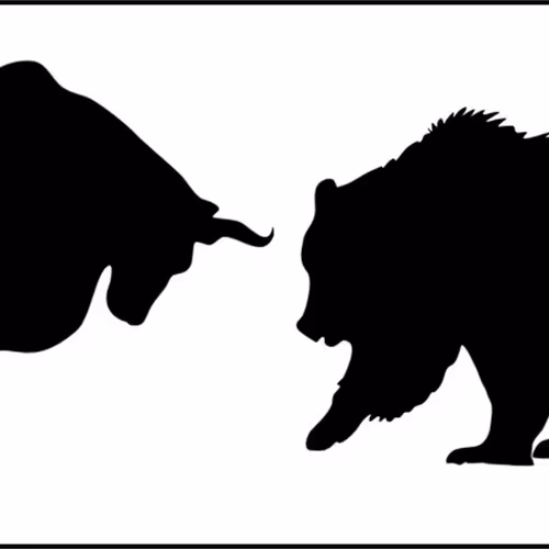 Bull Bear