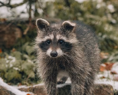 0x32166e4c0836859a14377f608f52b496e0a74717