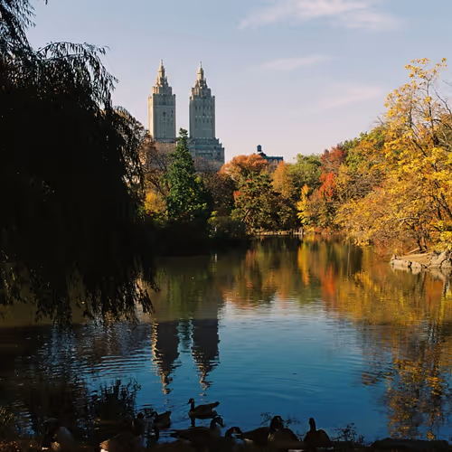 fall in central park