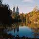 fall in central park