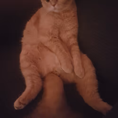 scotch