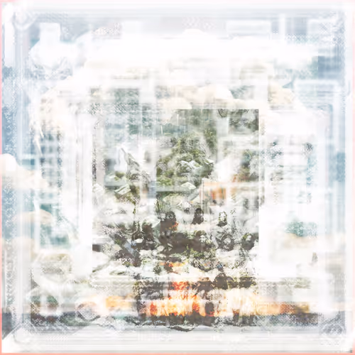 Caveman With A Bullet