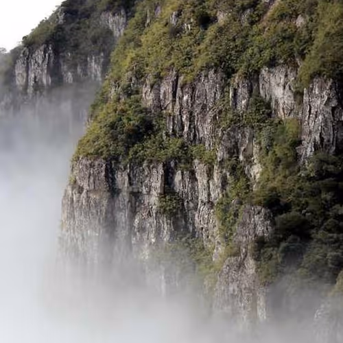 Express Accountability