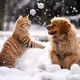Cats and dogs playing snowballs
