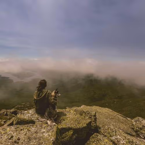 Jordan Confidential Dried