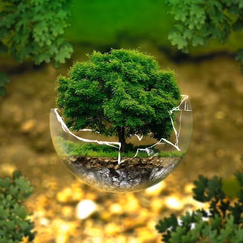 Zorb Tree