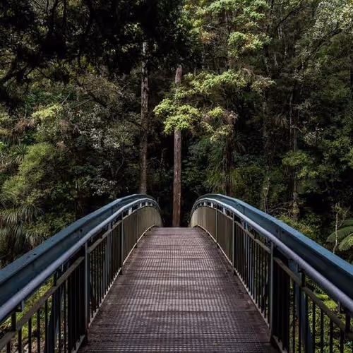 Webmaster Take Attribute