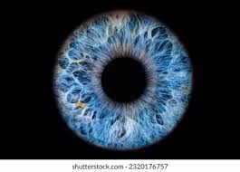 illusion.ion