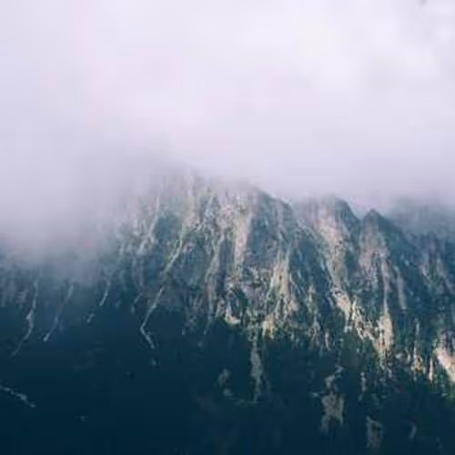 Jewels newt unusual isolated