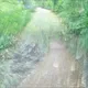 Endless Pathways