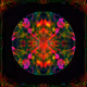 Speck Zorb Chapter 4