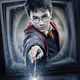 Harry Potter Paradise