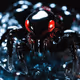 Venomous Shadows