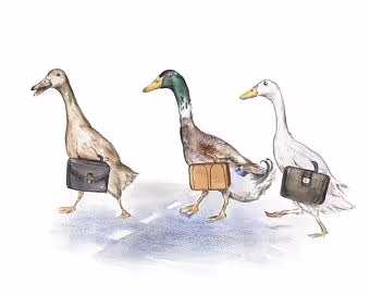 trio