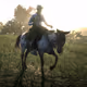 American Frontier 1899